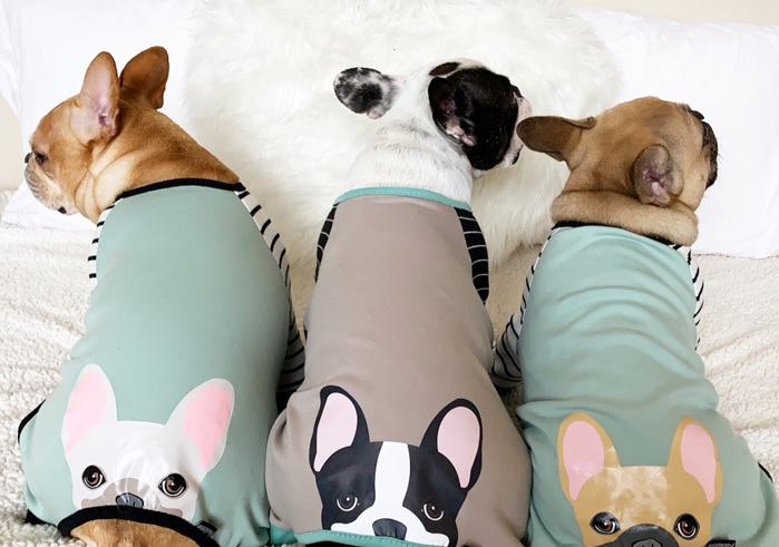 Find What Suits Your French Bulldog Best