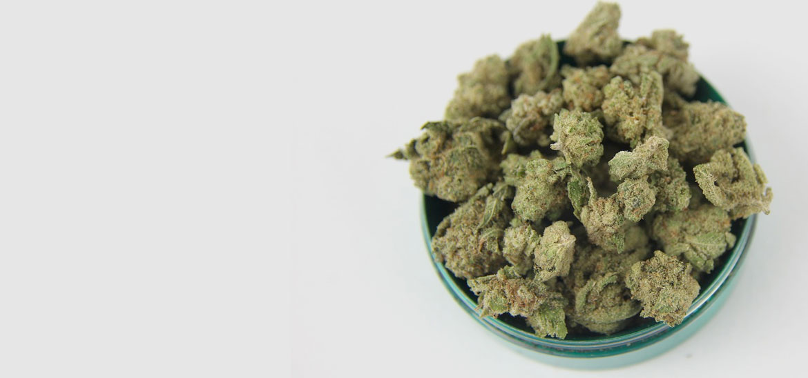 Buy Weed Online Canada – Trusted Cannabis Delivery by Bulk Buddy