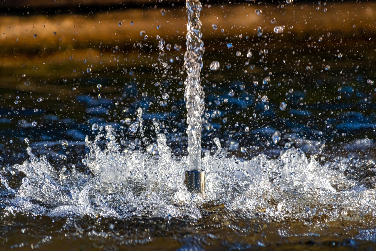 Fountain, fontaine, water — Delivery Driver of Organic Food to Women's Homes