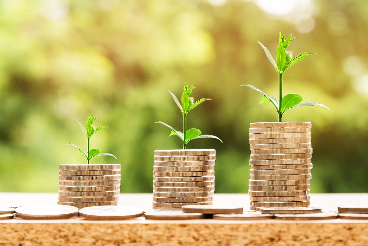Money, profit, finance — Key Components of a Good white label seo Service
