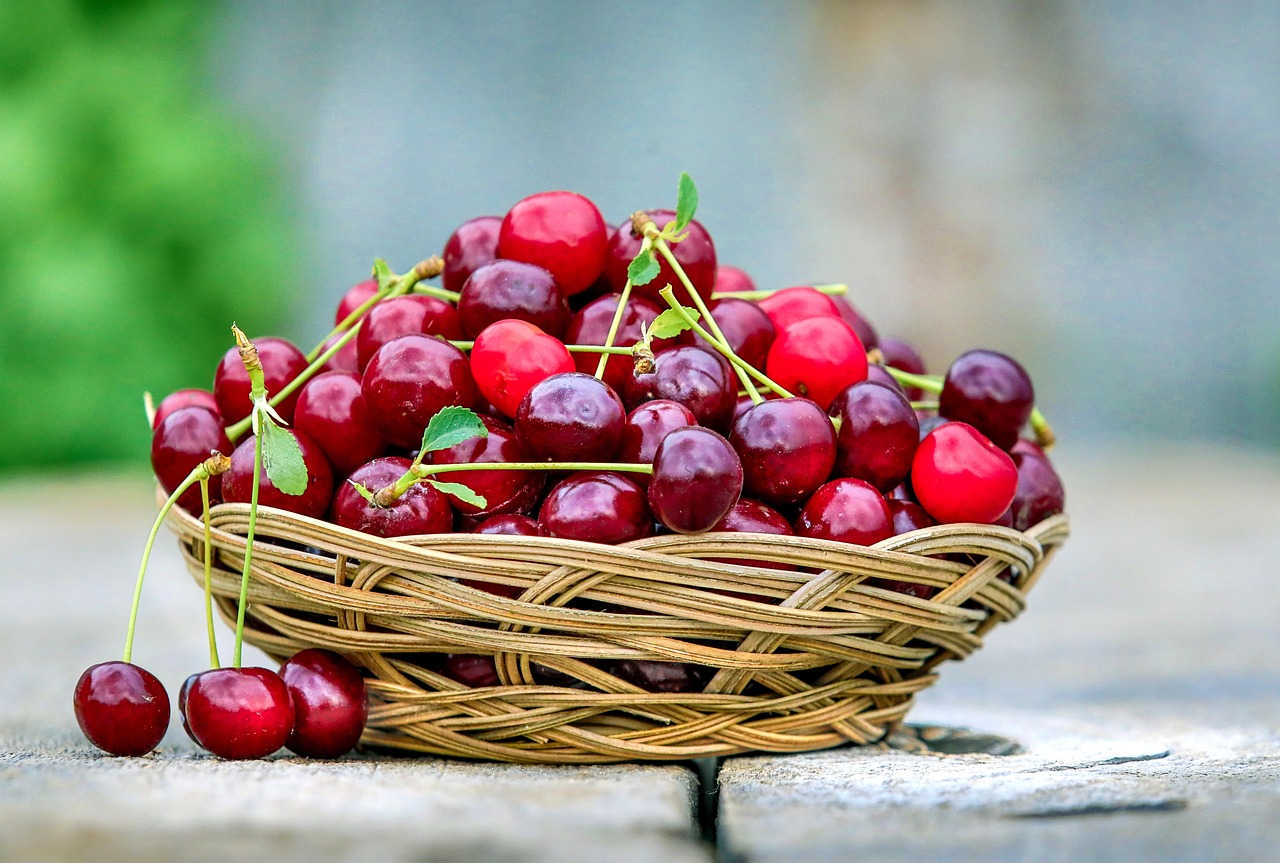 Cherry, basket, berry — Patient Stories: Overcoming Gynecologic Cancer with Dr. Scott Kamelle