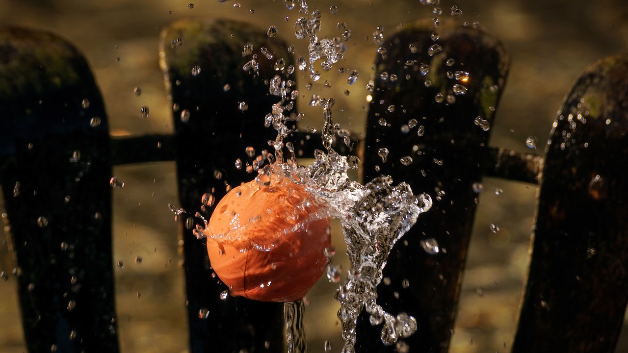 Ball, water feature, wet — Why Jan Pro Is The Best Commercial Cleaning Services Buffalo Ny Provider